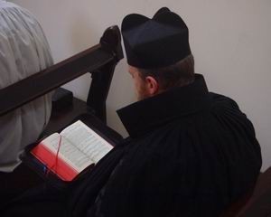 Modern Alternative Popes 19: The Catholic and Mercedarian&nbsp;Church