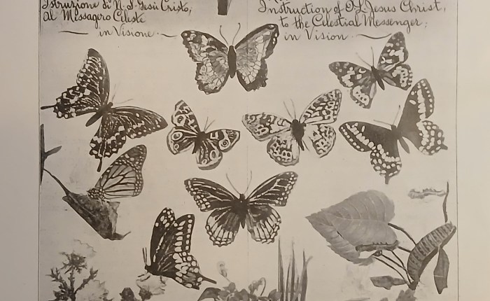 Images of the Celestial Messenger. Part&nbsp;7.